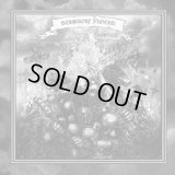 Adoria / Feuernacht / Stahlfront - Wehrwolf Jugend / CD