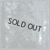 Ashen Light - Песнь Велеса / CD