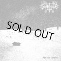 Darkthule - Arktoy Oryge / CD