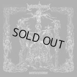 Descending Darkness - Seelenruhe / CD