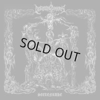 Descending Darkness - Seelenruhe / CD