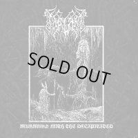 Forlorn Winds - Murmurs with the Decapitated / CD