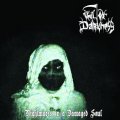 Veil of Darkness - Nightmares in a Damaged Soul / CD