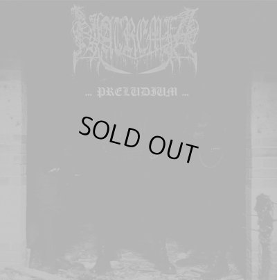 画像1: Natremia - ...Preludium... / CD