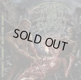 Triumph Of Evilution / CD