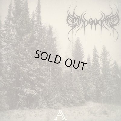 画像1: Shadowland - A / ProCD-R