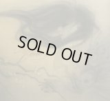 Lifeblood - Shattered Wishes / DigiCD