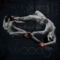 Whispering Woods - Perditus et Dea / CD