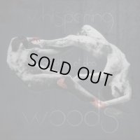 Whispering Woods - Perditus et Dea / CD