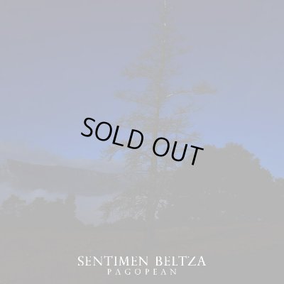 画像1: Sentimen Beltza - Pagopean / CD