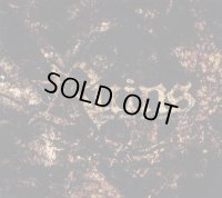 Ruins - Spun Forth as Dark Nets / SlipcaseCD