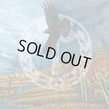 Nezhegol' - Маршем грома в парад осенних ночей / CD