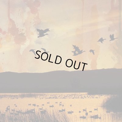 画像1: Stellar Descent - Fading / SlipcaseCD