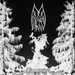 画像1: Ensom Skogen / Forgotten Spell / Moonblood - Flammenwut / Aesthetics of the Necromantic Manifestation / The Unholy / CD