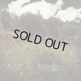 Dragobrath - WhisperHerbs / CD