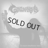 Gjallarhorn - Iз серця наповнюю чашу свою / CD