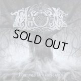 Temnozor - Haunted Dreamscapes / CD