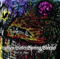 When Bitter Spring Sleeps - Spirit in Flames / DigiSleeveCD