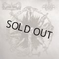 Botulistum / Goll - Split / CD