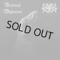 Nocturnal Depression / Kaiserreich - Split / EP
