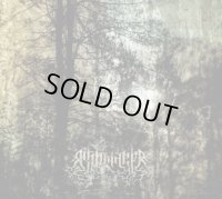 Ashbringer - Vacant / DigiCD