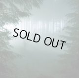 Thy Serpent - Forests of Witchery / CD