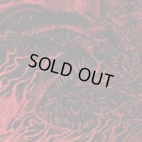 Ill Omened - Conflagration Roaring Hell / CD