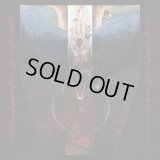 Shrine of Insanabilis - Disciples of the Void / CD