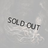 Selbst - An Ominous Landscape / DigiCD