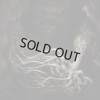 Selbst - An Ominous Landscape / DigiCD