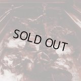 Misericordia - Dechristianize / CD