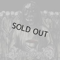 Jormundgand - Visions of the Past, Which Has Not Yet Come to Be... / CD