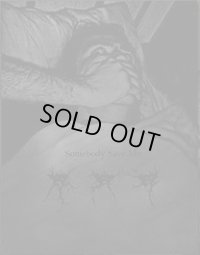 ... - Somebody Save Me / DVDcaseCD