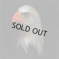 Sunchariot - Warrior of the Winds / CD