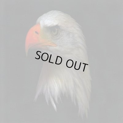 画像1: Sunchariot - Warrior of the Winds / CD