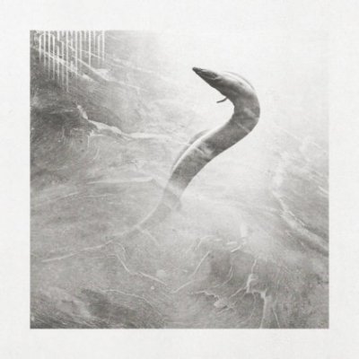 画像1: Absenta - Eel / CD