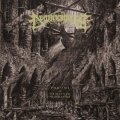 Demonomancy - Throne of Demonic Proselytism / CD