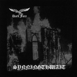 画像1: Dark Fury - Synningthwait / CD
