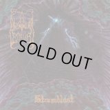 Dimmu Borgir - Stormblast / CD