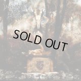 Weltering in Blood - Rise of the Necronaut / CD