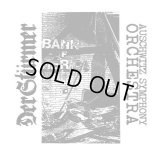 Der Sturmer / Auschwitz Symphony Orchestra - Split / CD