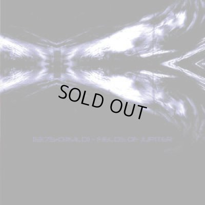 画像1: [13:75+0:11MLD] - Fields of Jupiter / CD