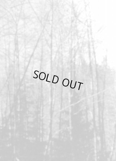 画像1: Circle of Salt / Taggarik - Split / ProTape