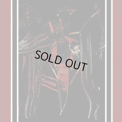 画像1: Intolitarian - Suicidal Allegiance / DigiCD