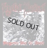 Bestial Warlust - Vengeance War 'till Death / LP