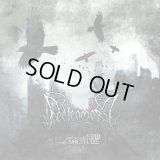 Seelenmord - ...and We Will Find Only Solitude - Part. I- / CD