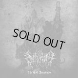 Sarkrista - The Evil Incarnate / CD