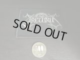 Arcturus - Logo /  Patch