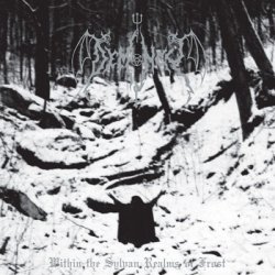 画像1: Demoncy - Within the Sylvan Realms of Frost / CD