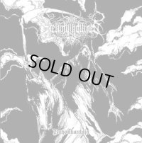 Sielunvihollinen - Ruhonkantaja / CD